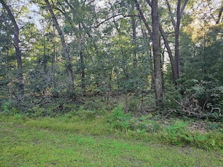 Lt 13 13th Ave, Friendship, WI 53934