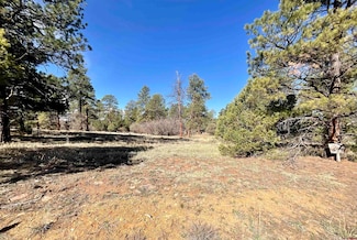 TBD S Badger Trail, Ridgway, CO 81432