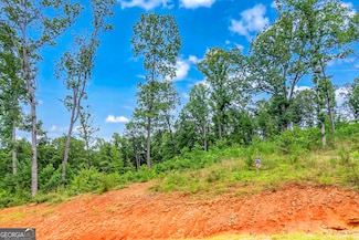 1084 Highgrove Dr, Talking Rock, GA 30175