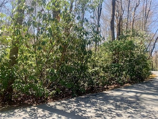 TBD Indian Lake Rd, Lake Toxaway, NC 28747