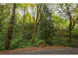 0 Niemi Rd Unit 24574062, Longview, WA 98632