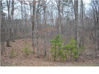 0 Stewart Ln Unit 1170154, Rising Fawn, GA 30738