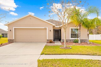 18255 Waydale Loop, Hudson, FL 34667