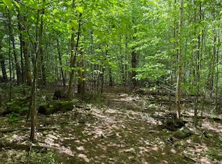 Lot 4 North St, Dover, VT 05431