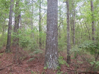 13470 Highway 503, Decatur, MS 39327