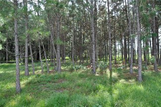 10830 Moore Rd, Lakeland, FL 33809