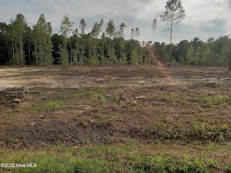 1291 Bill Hooks Rd, Whiteville, NC 28472