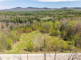 0 Turnpike Rd, Grafton, NH 03240