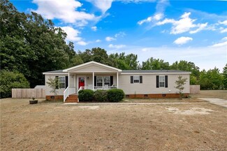 5040 High Branch Ct, Stedman, NC 28391