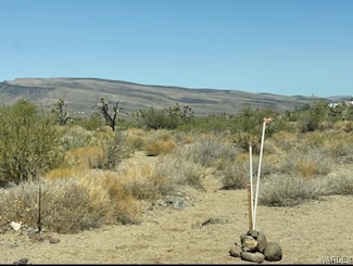 000 Paloma Dr, Dolan Springs, AZ 86441