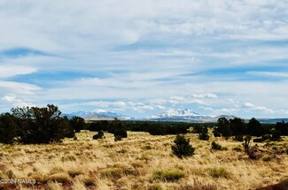 9996 Bird Dog Cir, Williams, AZ 86046