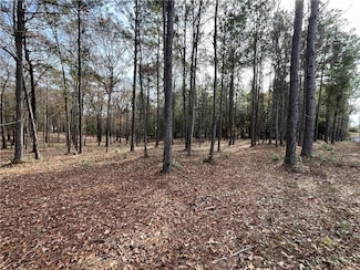 13980A Celeste Rd, Chunchula, AL 36521