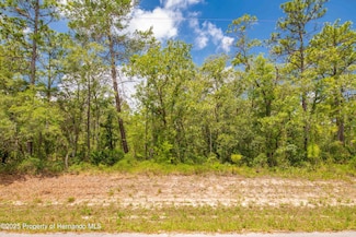 0 Mountain Sparrow Rd, Brooksville, FL 34614