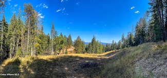 0 Larkspur Ln Unit 25-9627, St. Maries, ID 83861