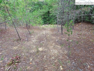 71 Elk Horn Rd, Ferguson, NC 28624
