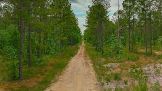 Hendricks Shortcut Rd, Conway, SC 29526