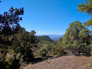 663 Bird Point Dr, Cotopaxi, CO 81223