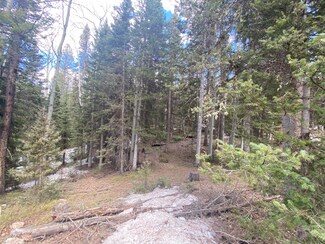 120 Ridge Rd Unit 4, Cimarron, CO 81220