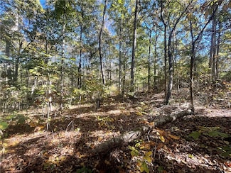 Tract E Vine Rd, Westminster, SC 29693