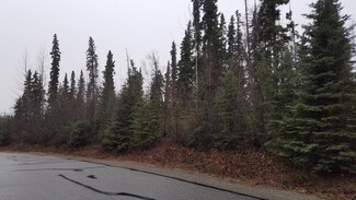 L28 B2 Main Tree Dr, Anchorage, AK 99507