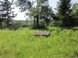0 Post Hill Rd Unit 201411258, Taghkanic, NY 12502