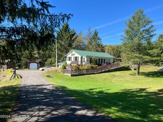 279 County Route 358, Medusa, NY 12120