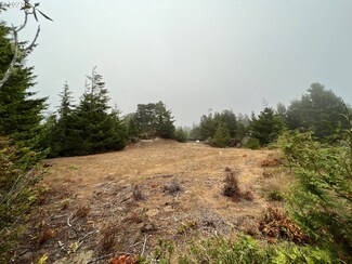 88022 Wind Leaf Way, Florence, OR 97439