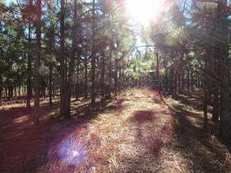 84+/- Acres On Byers Ln, Eufaula, AL 36027