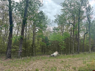 001-00408-000 Hand Cove Rd, Elizabeth, AR 72531
