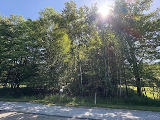 0 N Gleaner Rd Roads, Saginaw, MI 48609