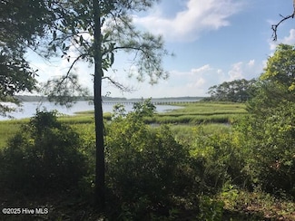 3247 Mullet Creek Place SE, Lockwoods Folly, NC 28422
