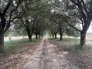 13962 Alabama 95, Abbeville, AL 36310