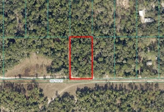 TBD SW 160th St, Dunnellon, FL 34432