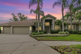 9201 Pine Island Ct, Tampa, FL 33647