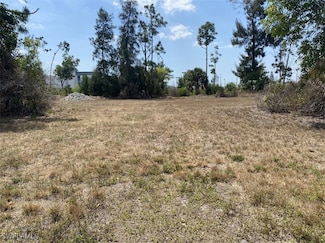 3808 NE 23rd Ave, Cape Coral, FL 33909