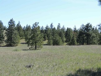 Tri Canyon Ranches Tract W Sec 27, Creston, WA 99117