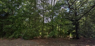 Lot 2 Cargile Sub, Conway, AR 72032