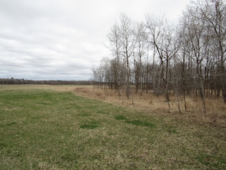 TBD 28th Ave SW, Pine River Township, MN 56474