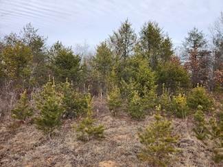 0 Koval Rd Unit 22560293, Lyndon Station, WI 53944