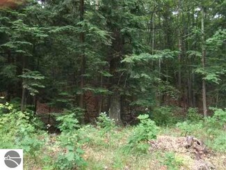 Lot 51 Lakeshore Dr Unit 51, Elk Rapids, MI 49629