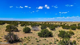 TBD N6655 40 49 Acres --, Saint Johns, AZ 85936