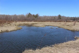 0 County Road 16 Unit R1110400, Birdsall, NY 14822