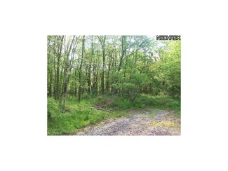 0 Palmer Rd Unit 3315335, Kimbolton, OH 43749