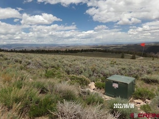 980 Cinammon Trail, Powderhorn, CO 81243