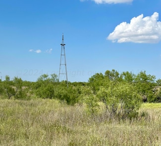 810 Canyon Pkwy, Canyon, TX 79015