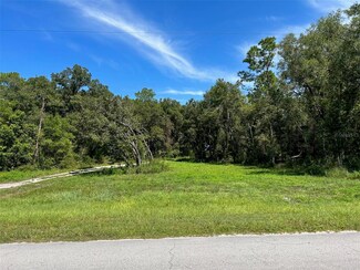 TBD E Levy St, Williston, FL 32696