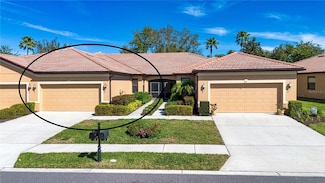 221 Shell Falls Dr, Apollo Beach, FL 33572