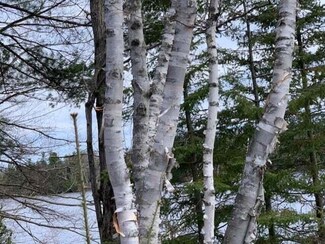 Lot B Lake Bluff Dr, Alpena, MI 49707
