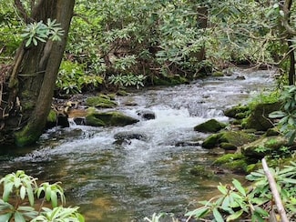 LL 25 Cashes Valley Rd, Cherry Log, GA 30522