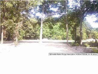 30796 Barnett Ln, Denham Springs, LA 70726